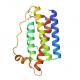 LEPTIN ELISA KITS (96T:  Human # 27775, Mouse # 27160, Rat # 27160)